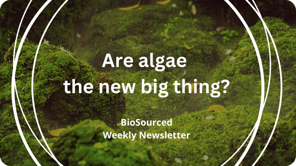 Are algae the new big thing?